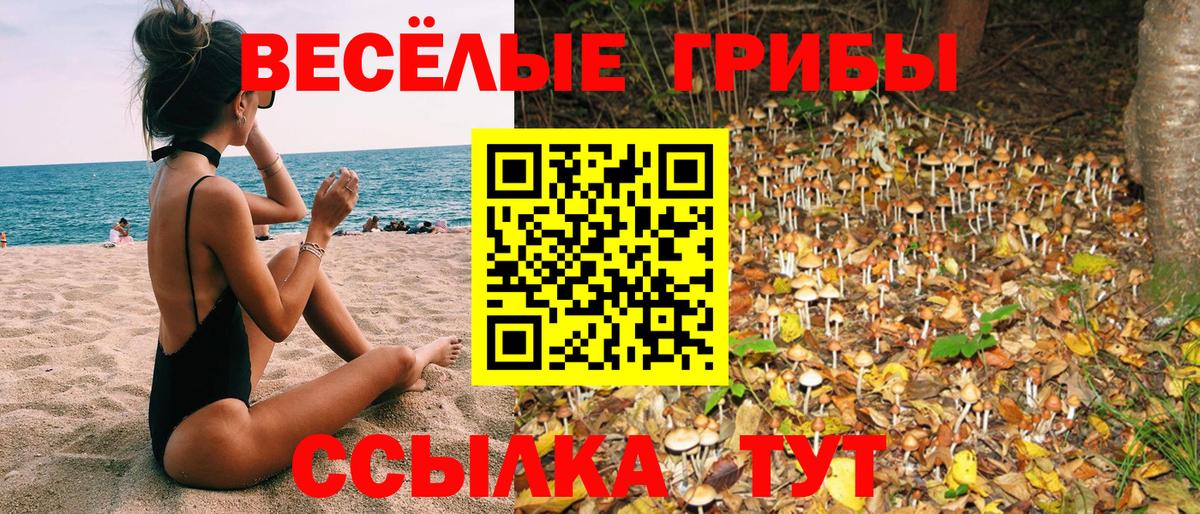 Галлюциногенные грибы мухоморы  Вход с VPN  Жуковский 